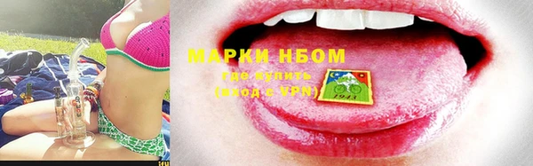ГАЛЛЮЦИНОГЕННЫЕ ГРИБЫ Баксан