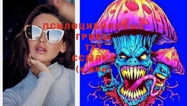 спиды Балахна