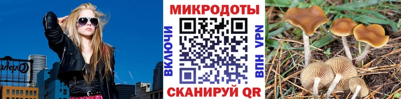 ОМГ ОМГ рабочий сайт  Ленинск-Кузнецкий  Галлюциногенные грибы Psilocybe 